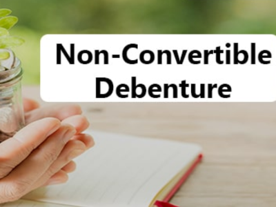 Non Convertible Debentures